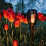 Luce ad energia solare da giardino