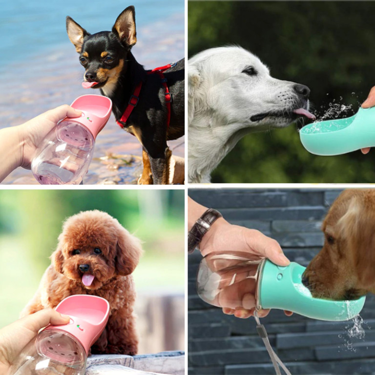 Bottiglia d'acqua portatile per cani