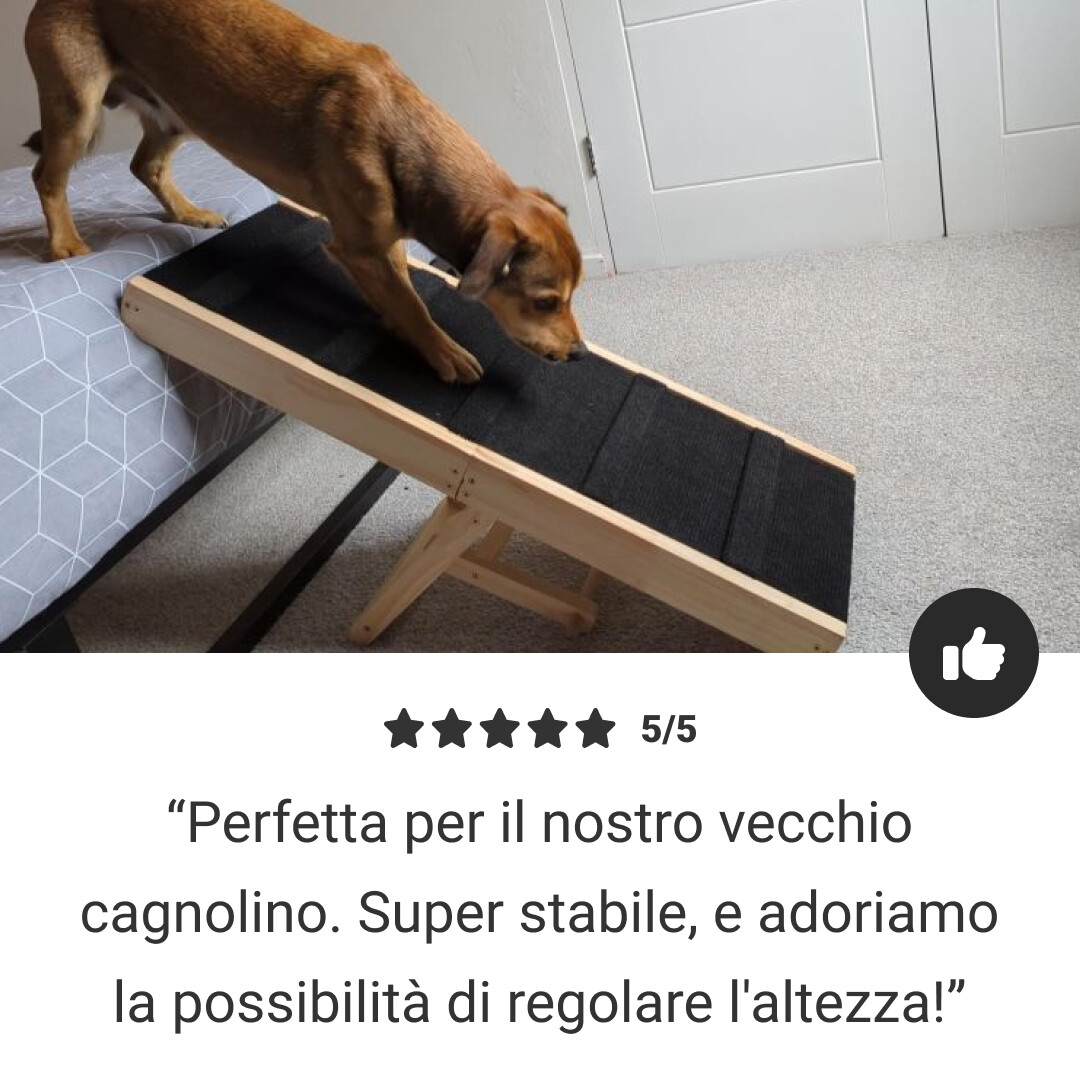 PetEase™ - Rampa Regolabile per Animali - immagine 5